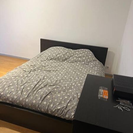 Апартаменти Studio A 2 Minutes De La Gare Мюлуз Екстер'єр фото
